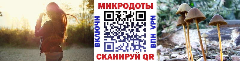Галлюциногенные грибы MAGIC MUSHROOMS  Кингисепп 