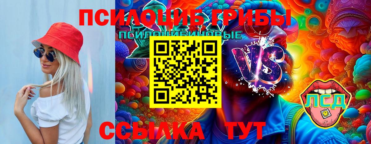 Кингисепп  Галлюциногенные грибы Psilocybe  Вход с VPN 