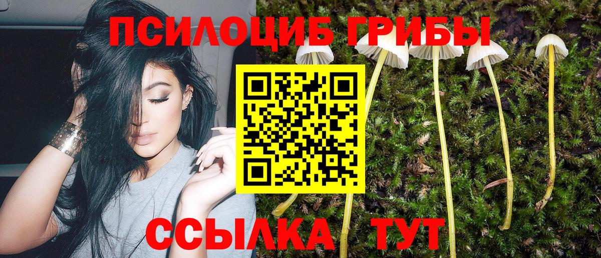 Галлюциногенные грибы Magic Shrooms  Кингисепп 